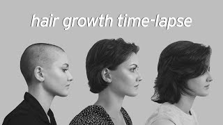 Hair Growth Timelapse  1 Year