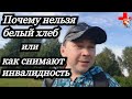 Снимают группу инвалидности/почему нельзя диабетикам белый хлеб/почему только мёд.