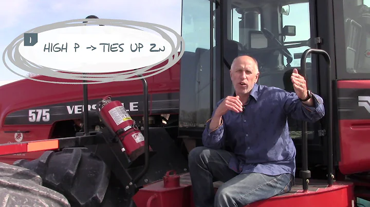 Maximize Phosphorus Efficiency with the Addition of Zinc