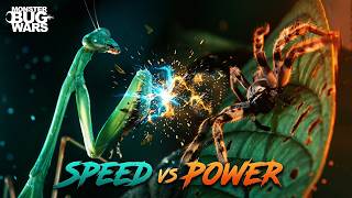 Slender-Necked Mantis Vs. Bronze Huntsman Spider Monster Bug Wars