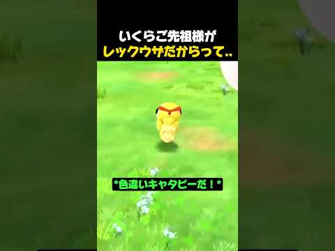 世界で一番箱入りに育ったキャタピー #ポケモン #ポケモンGO