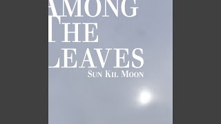 Video thumbnail of "Sun Kil Moon - Among the Leaves"