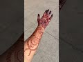 Mehendi hi mehendi everywhere with the best stain of our products #shorts #yt