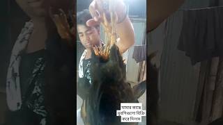 মুরগিগুলো বিক্রে করে দিলাম মামার_কাছে। viral  vlog 4k_video কৃষিহুজুর @krishihujor