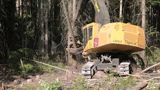 Idaho Logging - Shovel Logger 2 - Tigercat LS855E