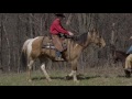 Building a better trail horse Part 1