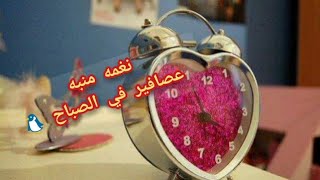 نغمه منبه في الصباح 🎼🐦🐤عصافير كناريا 🎶🐧