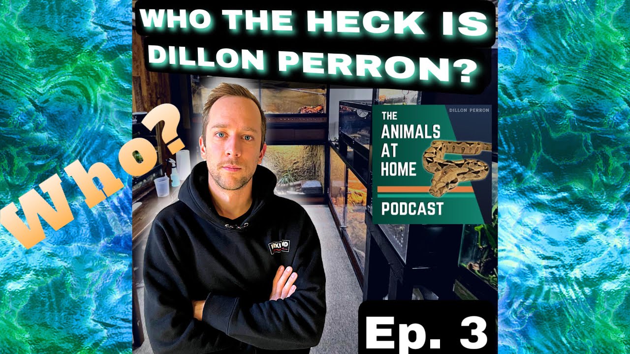 WHO is Dillon Perron? FIND OUT NOW! @AnimalsatHomePodcast - YouTube