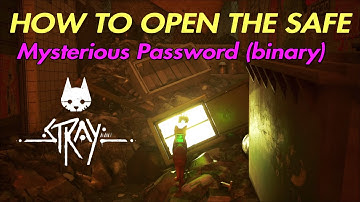 Stray How to open the Safe - Mysterious Password  (Binary)  Code Location