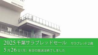 2025 千葉サラブレッドセール 生中継