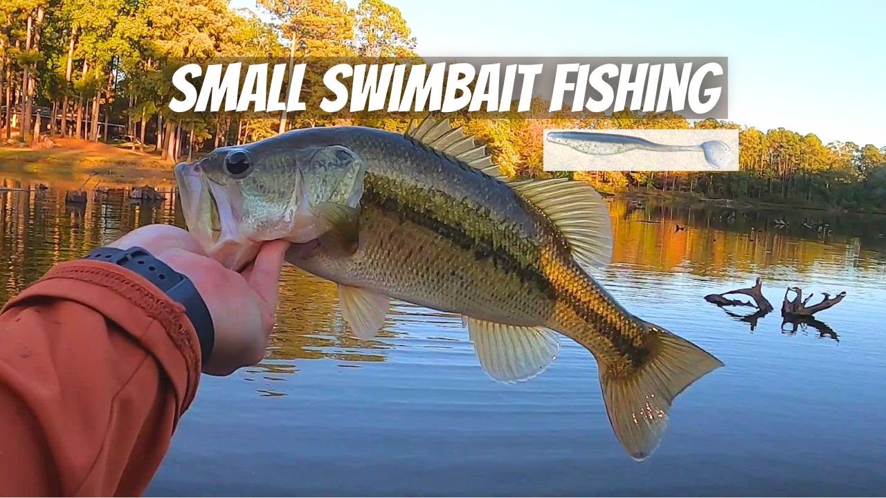Catching Bass on Small Swimbaits