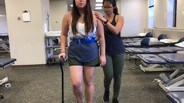 Gait Patterns with Cane(s)