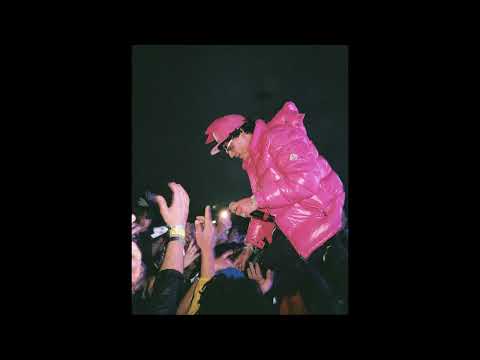 [FREE] SHORELINE MAFIA