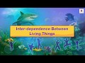 Inter Dependence Between Living Things Science For Kids Periwinkle Inter Dependence Between Living Things Science For Kids Periwinkle