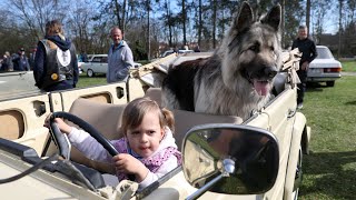 Leparkoltak a veteránok a kaposvári Cseri parkba