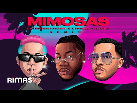 Video: Mimosa