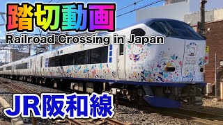 Railroad Crossing in Japan part 77 / JR Hanwa Line【踏切】JR阪和線