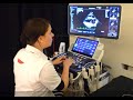 Mindray vet uis webinar  basic cardiac ultrasound in dogs and cats