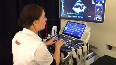 Mindray Vet UIS Webinar - Basic Cardiac Ultrasound in Dogs and Cats