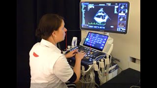 Mindray Vet UIS Webinar  Basic Cardiac Ultrasound in Dogs and Cats