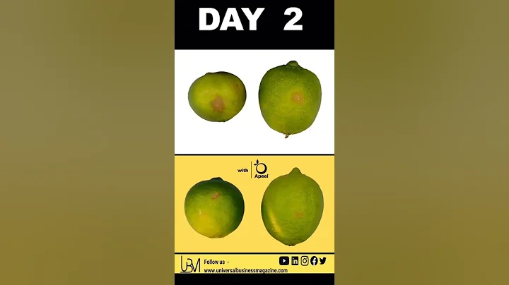 Can this californian company supported by Bill Gates solve world hunger? #business #innovation