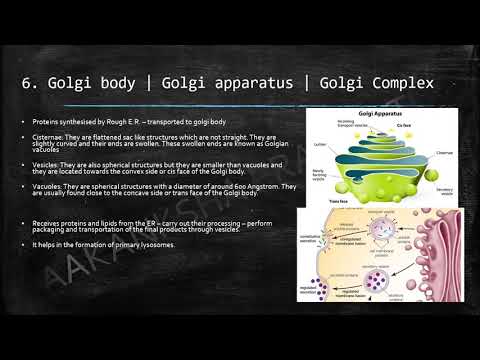 CELL OGRANELLES | PART 2 | P.G. DIPLOMA(HC & YS ) ANATOMY | CLASS 4