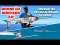Mızrakla Dev Kılıç Balıkları Yakaladık / Swordfish Harpooning Drone Footage