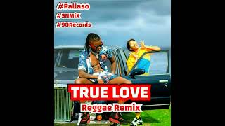 Pallaso - True Love (Instrumental) (Reggae Remix) (SNMiX) BPM 85