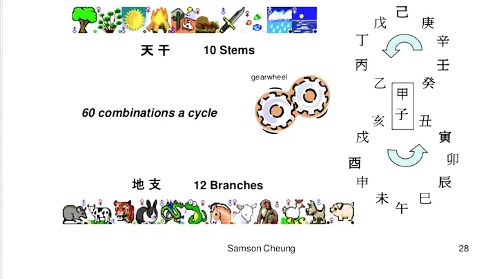 Zi Wei Dou Shu Astrology - DayDayNews