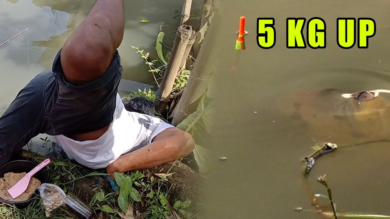 GURAME GANAS BIKIN KEWALAHAN - MANCING BARENG IKAN BABON