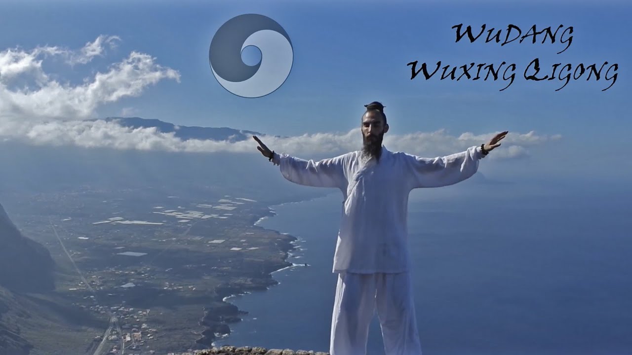 Wudang Wuxing Qigong 武当五形气功