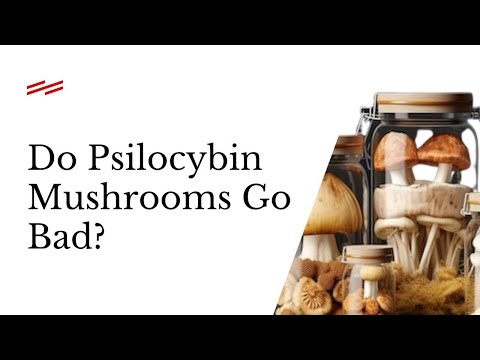 Do Mushrooms Spoil? (Tips for Mushroom Storage)
