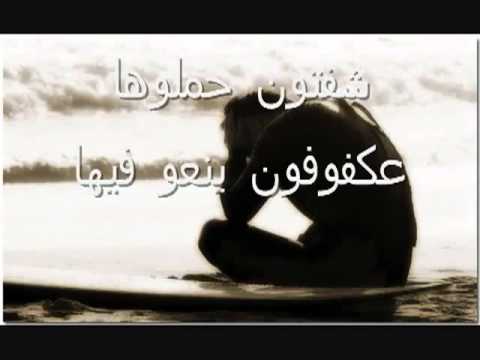 علاء الامين بيسان 