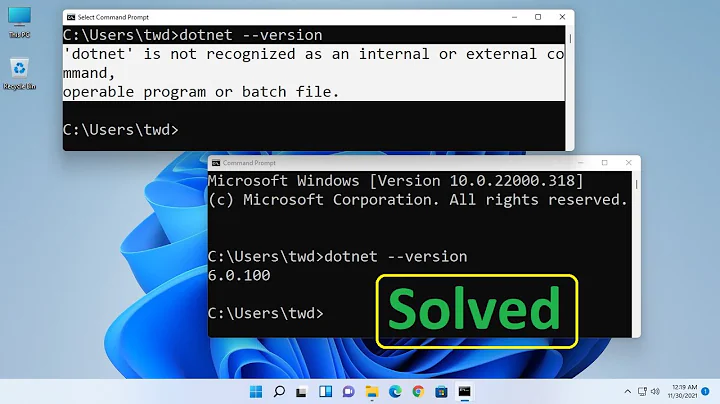 How to fix dotnet is not recognized as an internal or external command or batch file in Windows 11