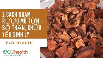 2 Cách ngâm rượu mú từn – bổ thận, chữa yếu sinh lý
