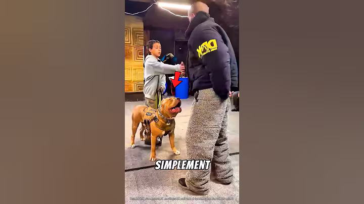 A military dog ​​shows off his skills #shorts
