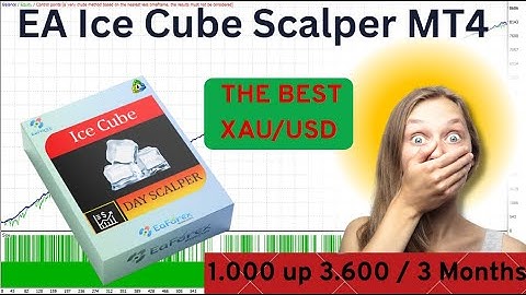 EA Ice Cube Scalper MT4 Review | Profit: $1.000 up $3.600 / 3 Months | EA Forex Store