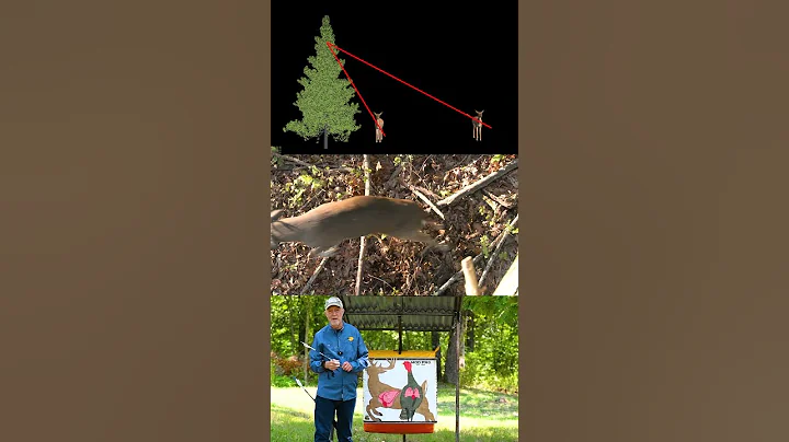 Where to aim when hunting from an elevated position