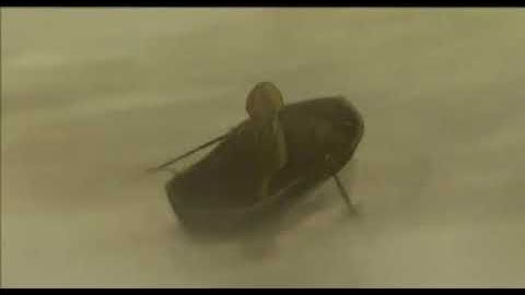 Tir Nan Og   animated short film directed by Fursy Teyssier