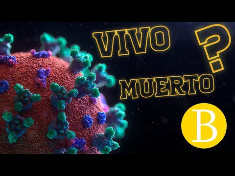 Video: ¿Un virus tiene citoplasma?