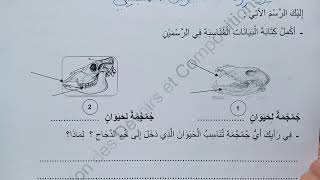 السنة الثالثة ابتدائى حل اختبار في التربية العلمية النمودج 4 الفصل الأول الجيل الثانى