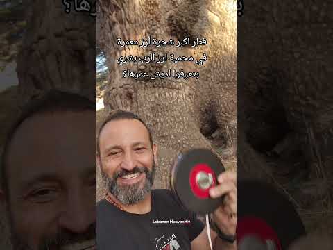 اكبر شجرة ارز معمرة في محمية ارز الرب بشري زوروا لبنان    9613399775