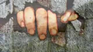 Mustafa Ozarslan Bir - Ay Dogar مسته‌فا ئۆزئه‌رسه‌لان ، یه‌ک مانگ .