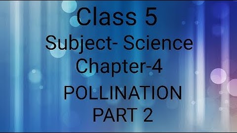 CLASS 5|CHAPTER-4|POLLINATION|PART 2|