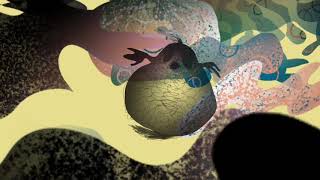 Fish Out Of Water Motion Graphics