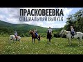 ЛОШАДИНЫЙ СПЕЦ-ВЫПУСК #HBD ВЛОГ ГЕЛЕНДЖИК ДЖАНХОТ 13 06 2020 lovdan