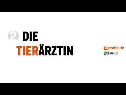 Video: Wir Sehen Uns Auf Der Messe: Teil 2 - Täglicher Tierarzt