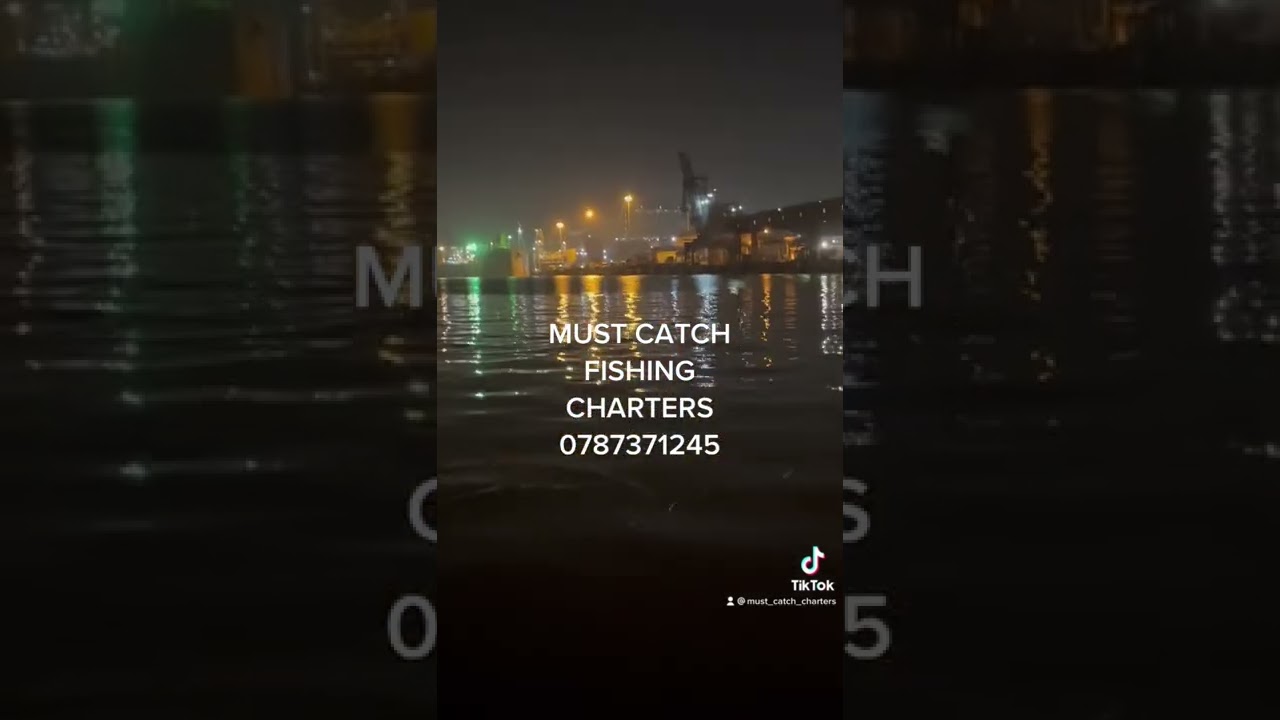MUST CATCH BAY FISHING