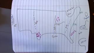 Mapping to New USA