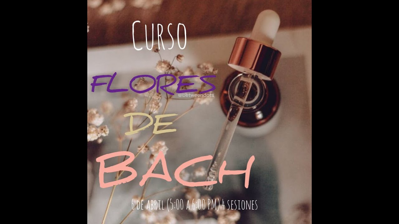 Curso de Flores de Bach - YouTube
